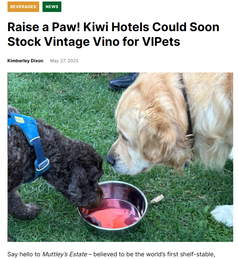 Hospitality Business NZ: Raise a Paw! Kiwi Hotels Could Soon Stock Vintage Vino for VIPets