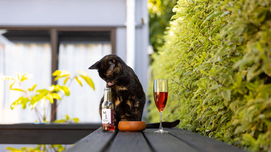 New Zealand's best pet wines