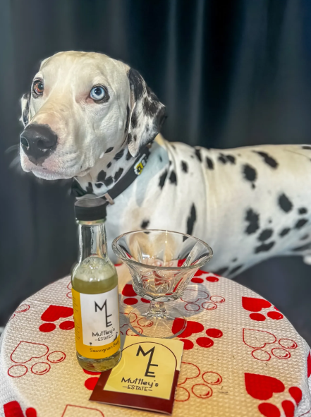 Sauvignon Bark